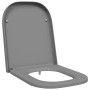 Asiento de Inodoro de Liberación Rápida Gris 44.5 x 35 x 3.6 cm