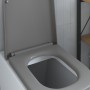 Asiento de Inodoro de Liberación Rápida Gris 44.5 x 35 x 3.6 cm