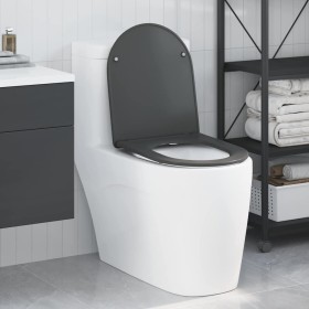 Asiento de Inodoro de Liberación Rápida Antracita