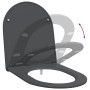 Asiento de Inodoro de Liberación Rápida Antracita