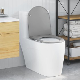 Asiento de Inodoro de Liberación Rápida Gris 44 x 36.4 x 3.4 cm