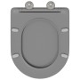 Asiento de Inodoro de Liberación Rápida Gris 44 x 36.4 x 3.4 cm