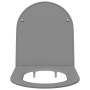 Asiento de Inodoro de Liberación Rápida Gris 44 x 36.4 x 3.4 cm