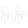 Silla de Jardín 2 pcs Blanco 55 x 56.5 x 91cm Aluminio