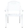 Silla de Jardín 2 pcs Blanco 55 x 56.5 x 91cm Aluminio