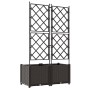 Maceta de jardín con enrejado 2 pcs Marrón 80 x 40 x 143 cm PP