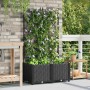 Maceta de jardín con enrejado 2 pcs Negro 80 x 40 x 143 cm PP en Maceteros y jardineras | Comprar online en Foro24