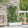 Maceta de jardín con enrejado 2 pcs Blanco 80 x 40 x 125.5 cm en Maceteros y jardineras | Comprar online en Foro24