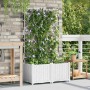 Maceta de jardín con enrejado 2 pcs Blanco 80 x 40 x 143 cm PP en Maceteros y jardineras | Comprar online en Foro24