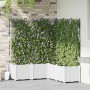 Maceta de jardín con enrejado 5 pcs Blanco 120 x 120 x 143 cm