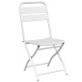 Silla Plegable para Jardín 2 pcs 55 x 56.5 x 91cm Acero