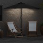 Parasol de jardín Negro 294 x 150 x 224 cm tela