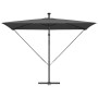 Parasol de cantilever tipo plátano Antracita 294 x 200 x 254 cm