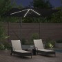 Parasol de cantilever tipo plátano Negro 294 x 200 x 254 cm