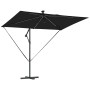 Parasol de cantilever tipo plátano Negro 294 x 200 x 254 cm