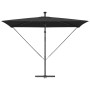 Parasol de cantilever tipo plátano Negro 294 x 200 x 254 cm