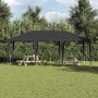 Carpa de Fiesta Antracita y Blanco 600 x 400 x 266 cm