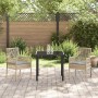 Silla de Jardín 2 pcs Beige 53 x 60 x 85cm ratán sintético