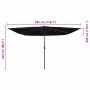 Parasol de jardín Negro 295 x 295 x 245 cm Poliéster y Acero