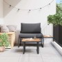 Conjunto de sofá de jardín 2 pcs Antracita Acero