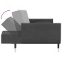 2-seater sofa bed with two dark gray velvet pillows by vidaXL, Sofas - Ref: Foro24-337583, Price: 352,70 €, Discount: %