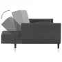 2-seater sofa bed with two dark gray velvet pillows by vidaXL, Sofas - Ref: Foro24-337583, Price: 324,67 €, Discount: %