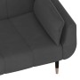 2-seater sofa bed with two dark gray velvet pillows by vidaXL, Sofas - Ref: Foro24-337583, Price: 352,70 €, Discount: %