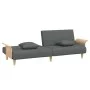 Dark gray fabric sofa bed with armrests by vidaXL, Sofas - Ref: Foro24-351844, Price: 307,64 €, Discount: %