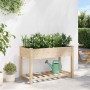 Maceta para Jardín con estante Beige 115 x 59 x 76.5 cm en Maceteros y jardineras | Comprar online en Foro24