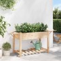 Maceta para Jardín con estante Beige 155 x 59 x 76.5 cm en Maceteros y jardineras | Comprar online en Foro24