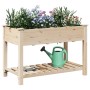 Maceta para Jardín con estante Beige 115 x 59 x 76.5 cm en Maceteros y jardineras | Comprar online en Foro24