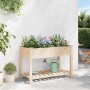 Maceta para Jardín con estante Beige 115 x 59 x 76.5 cm en Maceteros y jardineras | Comprar online en Foro24