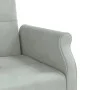 Schlafsofa mit hellgrauen Samtkissen von vidaXL, Sofas - Ref: Foro24-351857, Preis: 314,39 €, Rabatt: %