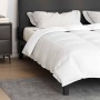 Colchas y Duvets Blanco 240 x 260 cm Plumas