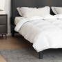 Colchas y Duvets Blanco 240 x 260 cm Plumas