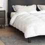 Colchas y Duvets Blanco 200 x 200 cm Plumas