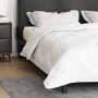 Colchas y Duvets Blanco 200 x 200 cm Microfibra