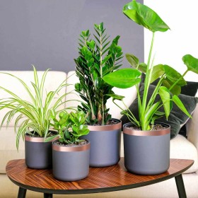 Cinta de cobre de doble cara 6 pcs Cobre 2000 x 3 cm Cobre