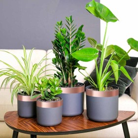 Cinta de cobre de doble cara 6 pcs Cobre 2000 x 5 cm Cobre