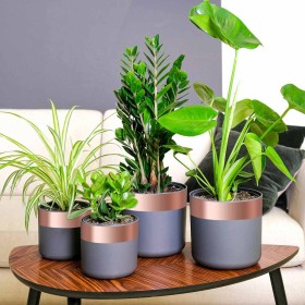 Cinta de cobre de doble cara 6 pcs Cobre 2000 x 7 cm Cobre