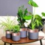 Cinta de cobre de doble cara 6 pcs Cobre 2000 x 7 cm Cobre
