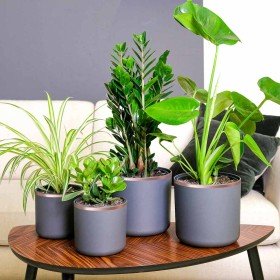 Cinta de cobre de doble cara 6 pcs Cobre 2000 x 1 cm Cobre