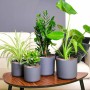 Cinta de cobre de doble cara 6 pcs Cobre 2000 x 1 cm Cobre