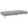 Hellgraues Schlafsofa aus Stoff von vidaXL, Sofas - Ref: Foro24-351881, Preis: 255,79 €, Rabatt: %