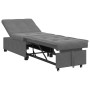 Sofá cama Gris oscuro 67 x 194 x 82 cm
