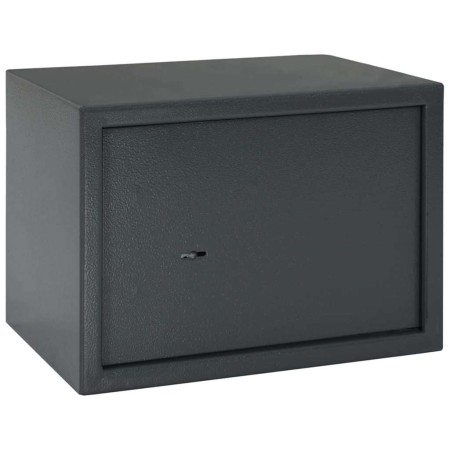 Caja Fuerte con cerradura Gris 25 x 35 x 25 cm Acero en Cajas fuertes | Comprar online en Foro24