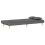 Dark gray fabric sofa bed by vidaXL, Sofas - Ref: Foro24-351901, Price: 258,13 €, Discount: %