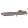 Taupegraues Schlafsofa aus Stoff von vidaXL, Sofas - Ref: Foro24-351905, Preis: 279,70 €, Rabatt: %