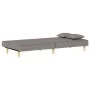 Taupegraues Schlafsofa aus Stoff von vidaXL, Sofas - Ref: Foro24-351905, Preis: 274,77 €, Rabatt: %