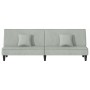 Light gray velvet sofa bed by vidaXL, Sofas - Ref: Foro24-351907, Price: 283,24 €, Discount: %
